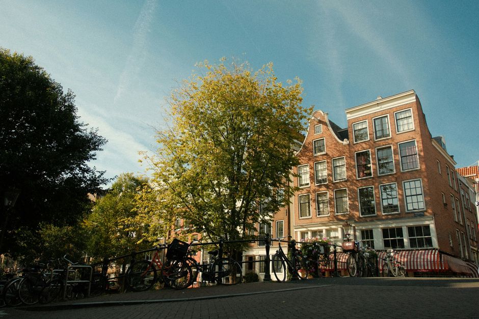Bikes along a historic canal street in Amsterdam, showcasing autumn foliage and classic architecture.