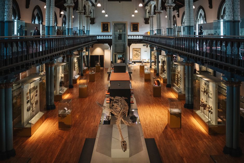 UK Museum Mornings 2026: 5 Calm Picks Before Meltdown