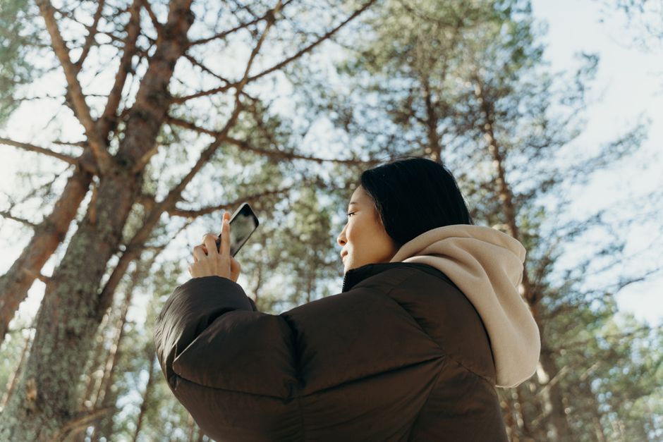Asian woman photographing forest scene with smartphone, wearing a puffer jacket.