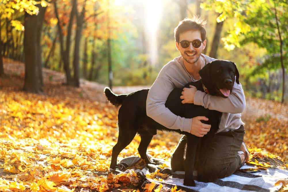 Finding the Perfect Pup for Your Journeys: Travel Buddy Breeds