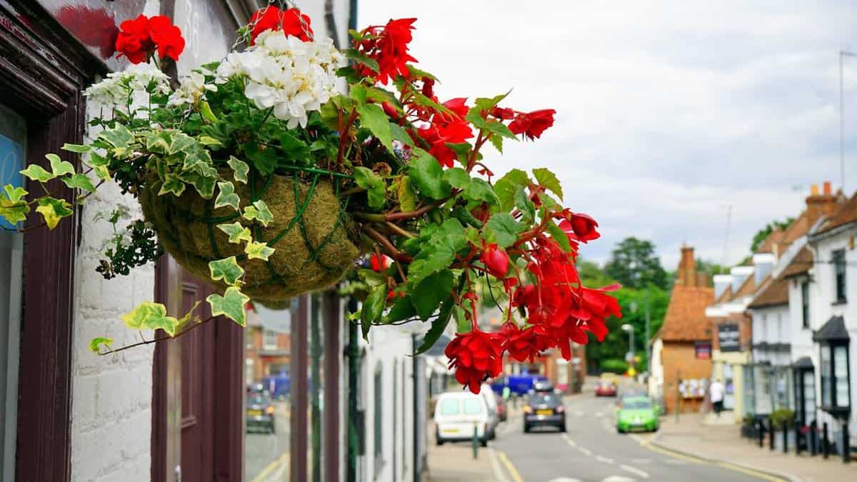 Evoking Emotion with Floral Brand Identity for Seasonal Campaigns