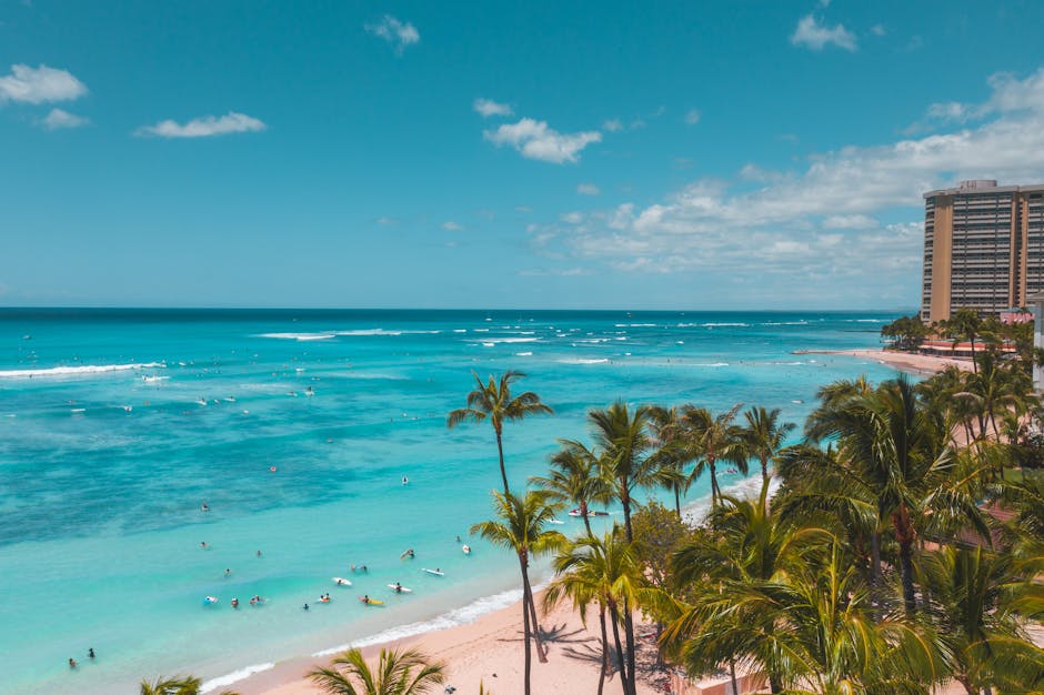 A breathtaking view of Waikiki Beach with turquoise waters, surfers, and palm trees under a blue sky.