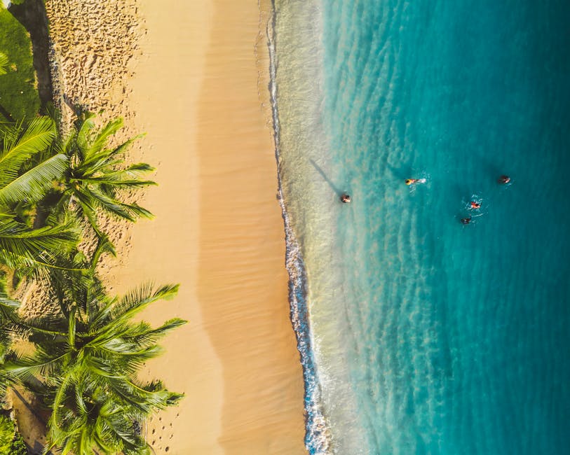 Stunning aerial view of a tropical beach showing palm trees and swimmers in turquoise water.