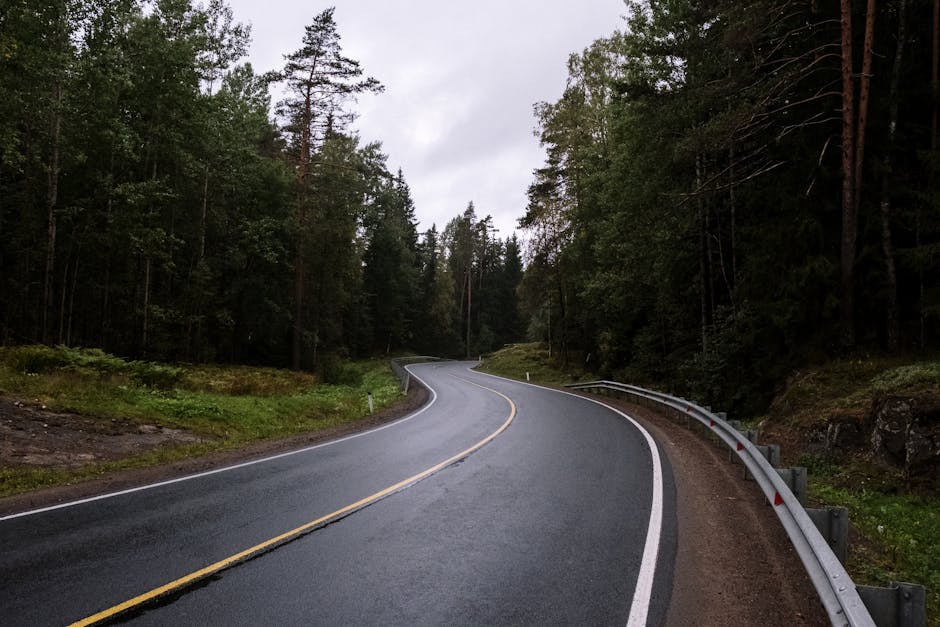 A tranquil winding road through dense forest on a rainy day, ideal for travel inspiration.