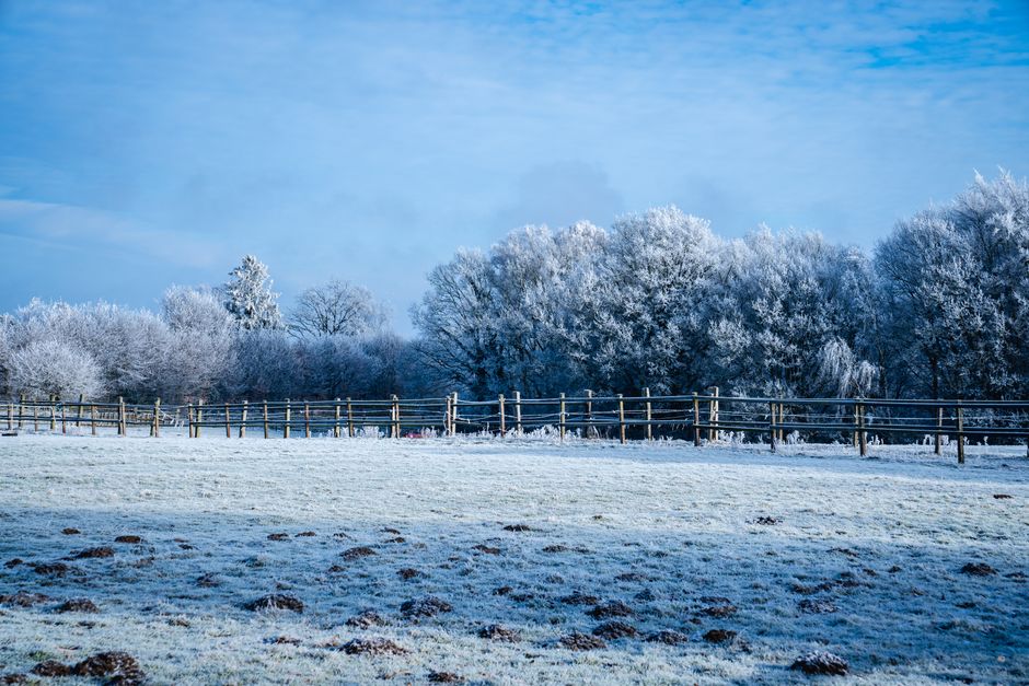 Serene winter scene of frosty trees and fields under a clear blue sky.