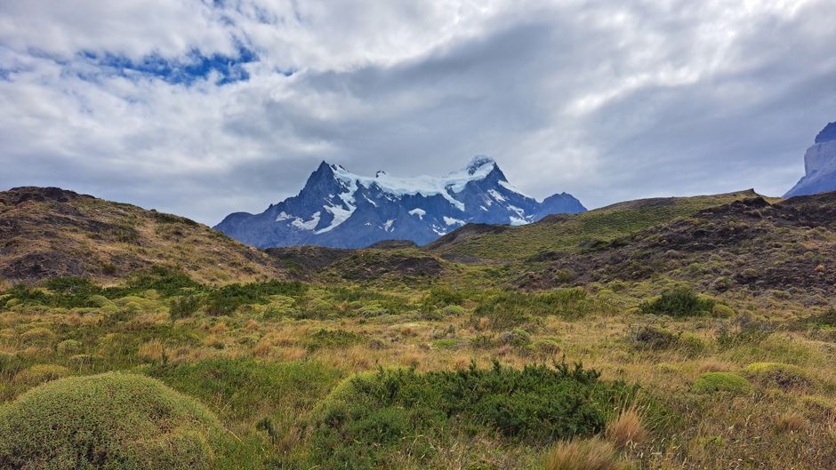 Stunning view of snow-capped mountains and lush greenery in Torres del Paine, Chile.